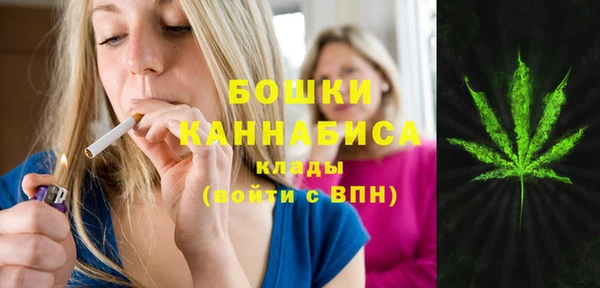 прущие крисы Ельня