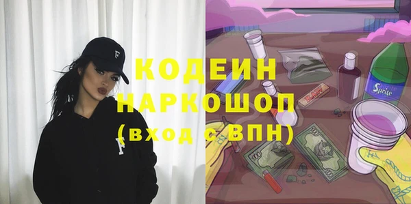 mdpv Елизово