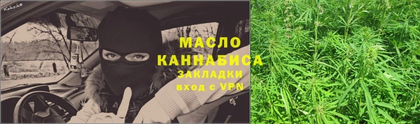 прущие крисы Ельня