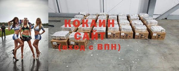 прущие крисы Ельня