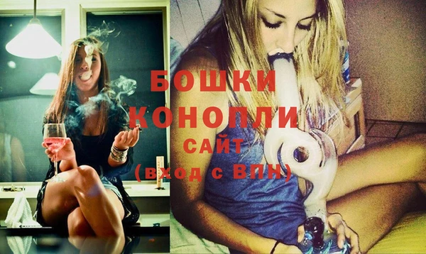 прущие крисы Ельня