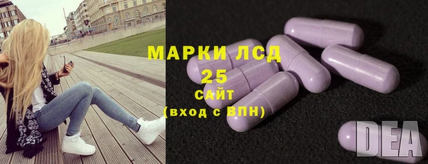 mdpv Елизово